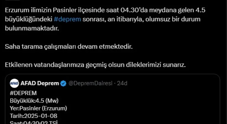 Erzurum'da 4.5 büyüklüğünde deprem (2)