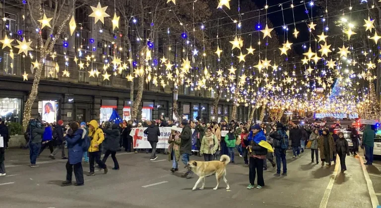 Gürcistan’da AB eylemleri sürüyor