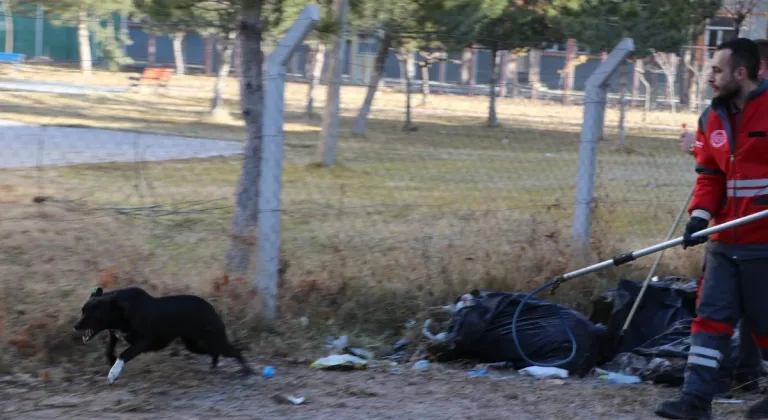 Köpeğin saldırısına uğrayan Zeynep yaralandı