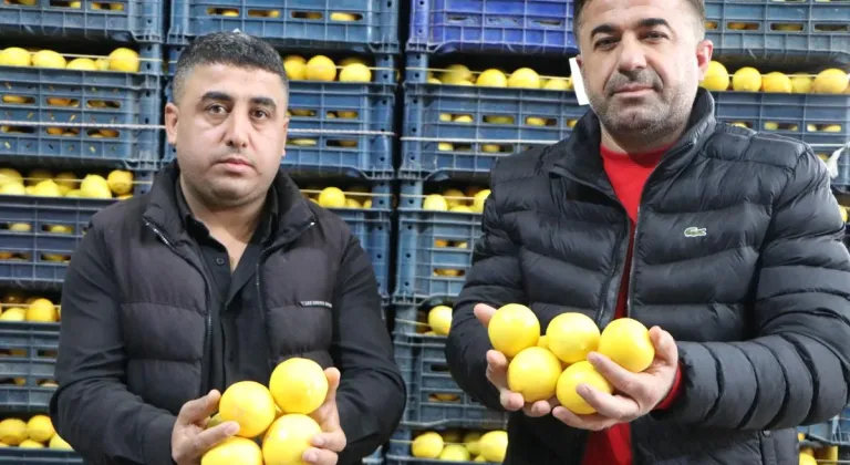 Limonda hal-market makası 10 katı aştı