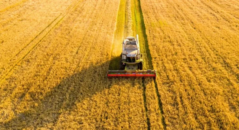 Tarım ve Orman Bakanlığı'ndan 'planlı üretim' rehberi