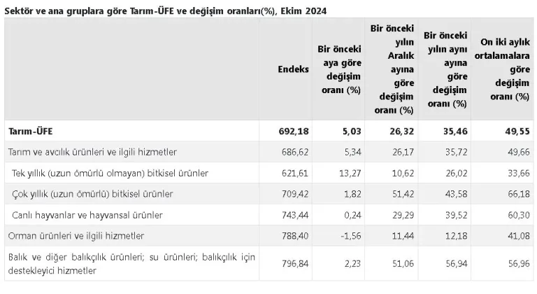 TÜİK: Tarım ürünleri üretici fiyatları arttı