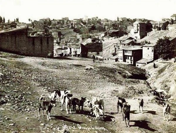 Fotoğraflarla Eski İstanbul